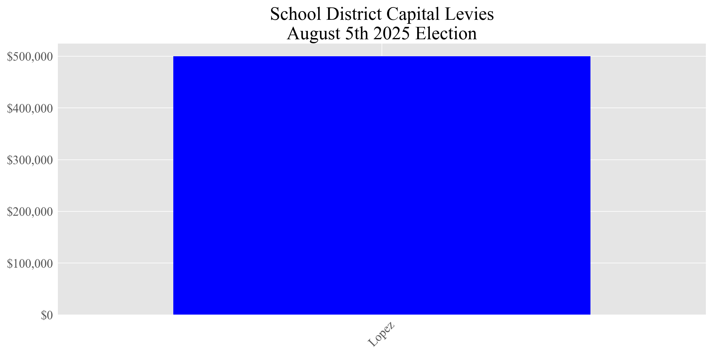 Capital levy totals